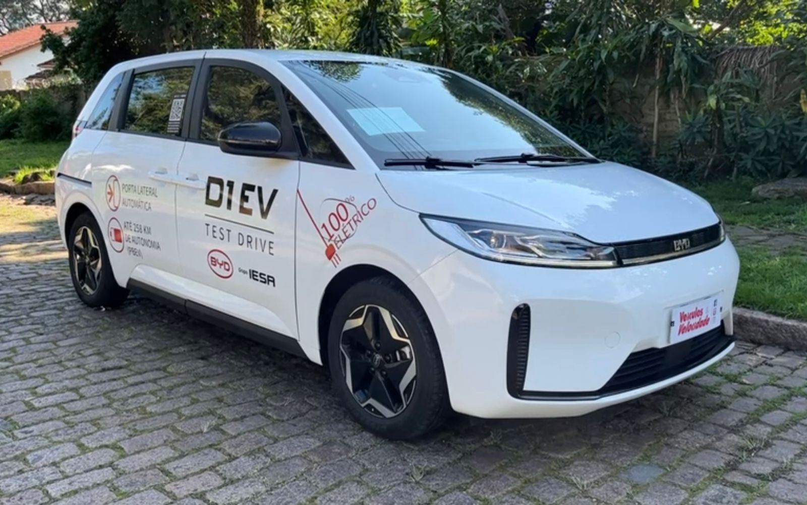 Os “trabalhadores” da BYD