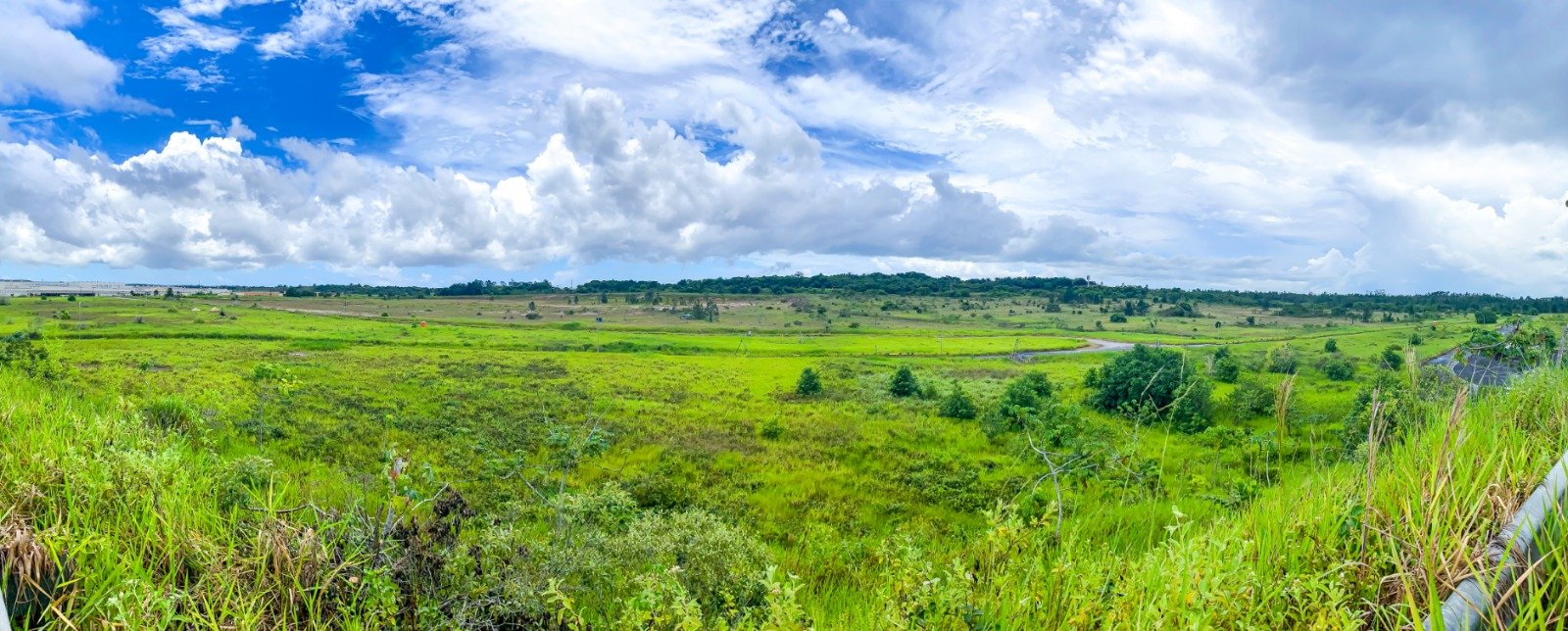 BYD aumenta investimento na Bahia